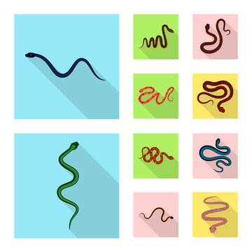 Vector design of skin and reptile logo. Set of skin and danger vector icon for stock.