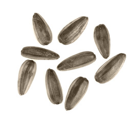 Obraz premium Seed of Sunflower isolated on white background