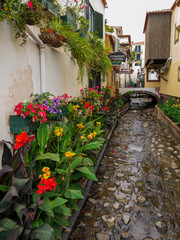Fototapeta na wymiar Blumenpracht in Funchal