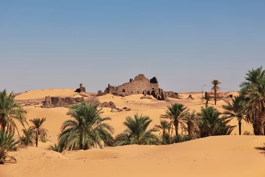 Oases de Timimoun - Adobe Stock