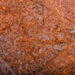 sheet of rusty metal. old oxidized background