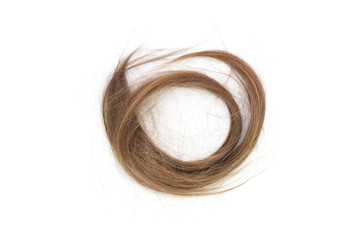 Cutted off brown hair on white background
