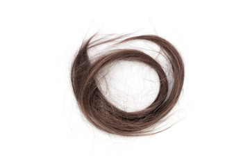 Cutted off brown hair on white background