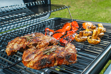 beef steak and grilled vegetables in nature