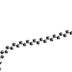 Paw logo or cat and dog animal pet vector paw