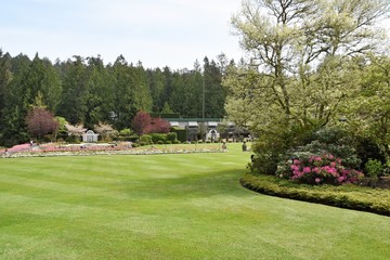 The Butchart  gardens      Lawn