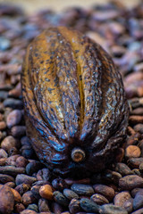 Cocoa Beans