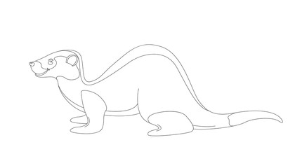 ferret vector illustration,  lining draw,  profile