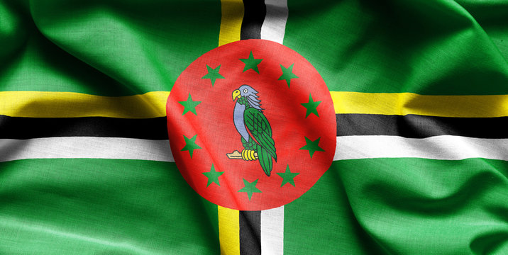 Dominica Flag waving
