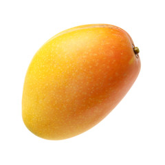 Mango on white background