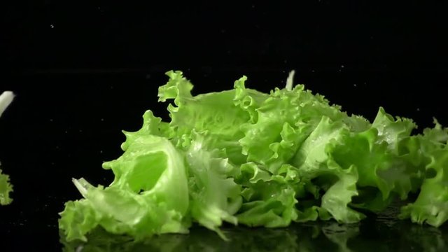 fresh lettuce leaves falling in slow motion on black surface