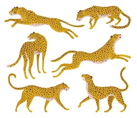 Foto op Plexiglas Set of abstract silhouettes of leopards. Vector hand draw design. © Angelina Bambina