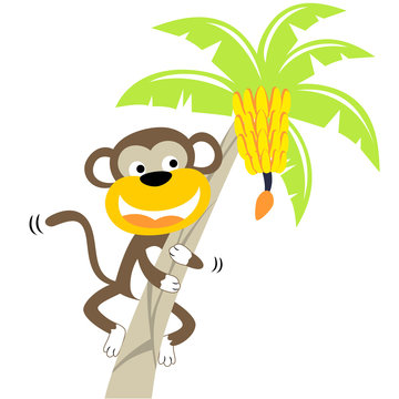 Monkey climbing banana tree, vecctor cartoon illustration
