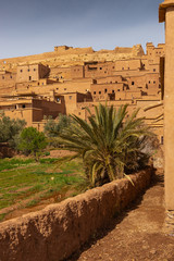 Trees and vegetation just outside Ait Benhaddou ancient village in Morocco