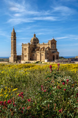 Wildflower meadow in front of basilica of the blessed Virgin of Ta' Pinu