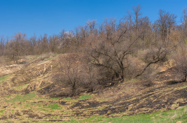 Fototapeta na wymiar Spring landscape with burnt grass on a hilly land in Ukraine