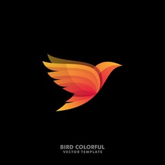 Obraz premium Bird Concept Designs illustration vector template