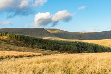 Landscape in the Brecon Beacons National Park between Torpantau and Blaen-y-glyn, Powys, Wales, UK