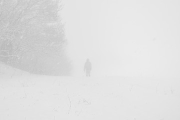 footprints in the snow