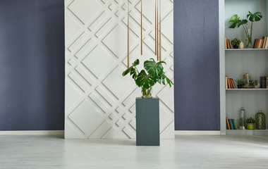 Modern room wall and backgrou d style