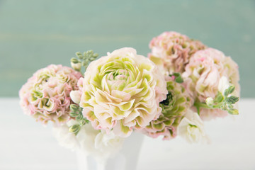 ピンクとグリーンのラナンキュラス