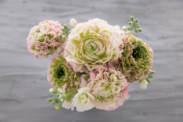 ピンクとグリーンのラナンキュラス