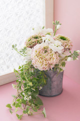 ピンクとグリーンのラナンキュラス