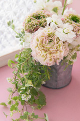 ピンクとグリーンのラナンキュラス