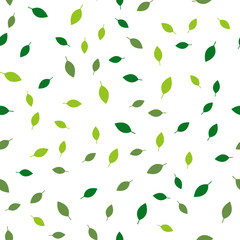 Seamless vector Pattern with different leaves. Floral decoration