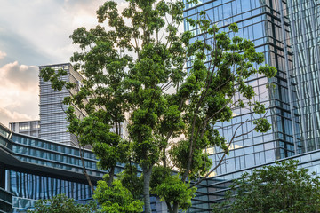 Plakat modern office building with green trees.