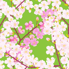Cherry blossom seamless pattern. Textile or fabric concept Japanese flowering texture. Flat color style vector illustration.