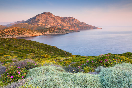 Spring flowers on Fourni island and view of Thymaina island early in the morning, Greece. 