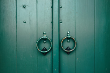 Old green wooden door Moscow