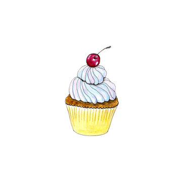 Hand drawn watercolor isolated cupcake with cherry