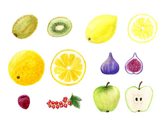 Watercolor isolated fruits set of kiwi, lemon, orange, apple, fig, raspberry and red currant. Summer fruit elements. Healthy and vitamin food. Raster illustration. 