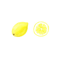 Hand drawn watercolor lemon