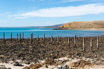 Naklejka premium Ruiny Myponga Jetty w spokojny jasny słoneczny dzień na półwyspie Myponga Beach Fleurieu 27 marca 2019 r.