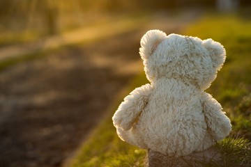 Teddy bear sits on the road sunset.