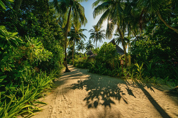 maldives, exotic destination for holiday or honeymoon, white coral beach with palms in paradise