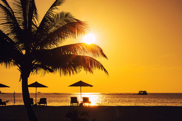 sunset or sunrise with palms and ship in the maldives, exotic destinations for holiday or honeymoon, 