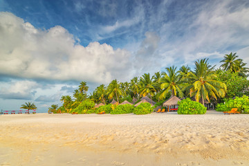 maldives, exotic destination for holiday or honeymoon, white coral beach with palms in paradise