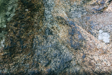 Old natural grey stone texture with moss background.