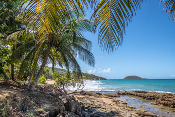 Fototapeta na wymiar plage de Cluny en Guadeloupe