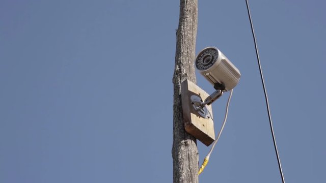 Professional security video camera on wooden pole outdoor