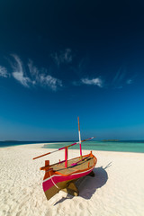 maldives, exotic destination for holiday or honeymoon, white coral beach with palms in paradise