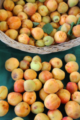 apricots at bazaar