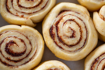 raw cinnamon rolls