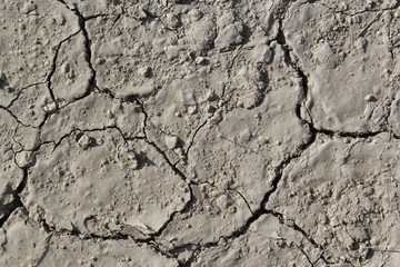 Ground texture