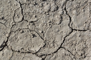 Ground texture