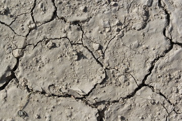 Ground texture